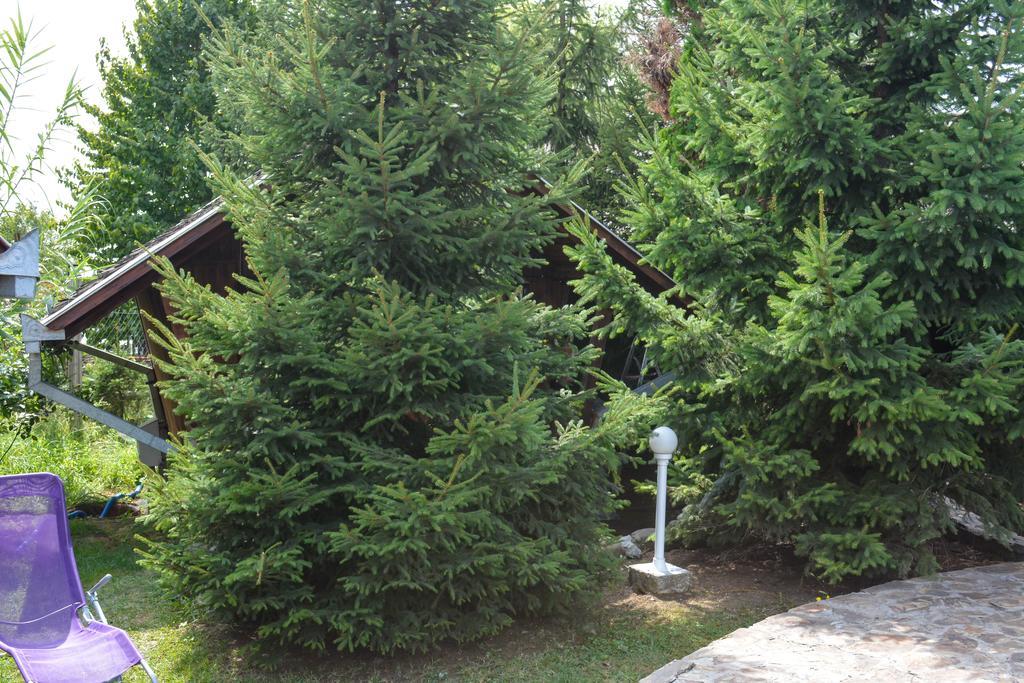 Camping Robinson Country Club Nagyvárad Kültér fotó